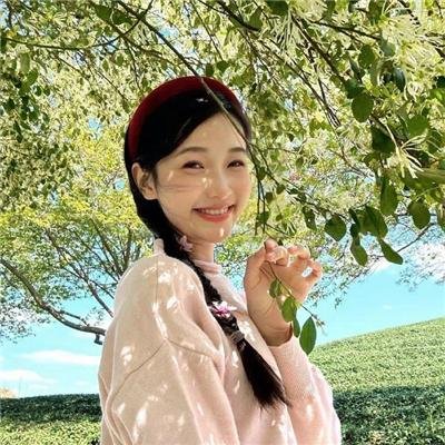 彩凤嬉春